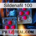 Sildenafil 100 14